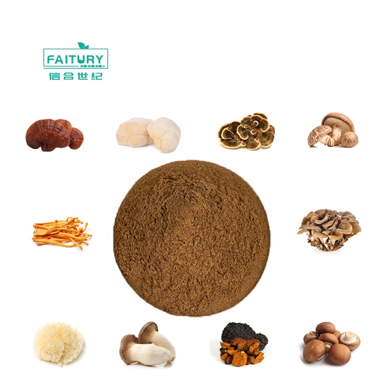 Extrait de champignon d'usine Agaricus Shiitake Matake poudre Cordyceps Chaga queue de dinde Reishi Chaga Lions crinière champignon poudre