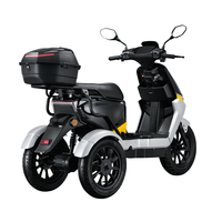 Scooter électrique à 3 roues en alliage d'aluminium 1000W, moteur sans balais, batterie au lithium étanche, autonomie de 110 km pour adultes et personnes âgées