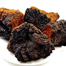 GANOHERB Extractos De Plantas organik <span class=keywords><strong>Chaga</strong></span> mantar özü tozu ek toptan OEM fabrika fiyat toplu tedarik - Product Image 4