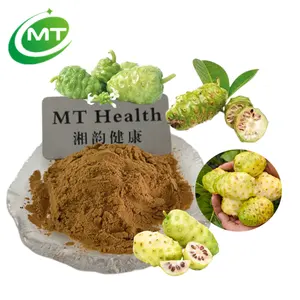 Free Sample Available Pure natural Noni Fruit Extract Powder morinda citrifolia Noni Extract