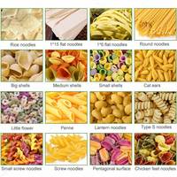 Restaurante Spaguetti industriel Paraguay Gourmet Vercimal Pasta Macaroni faire semi-automatique Machine Cavatelli