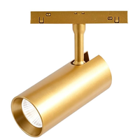 Spot lumineux magnétique encastré sans bordure doré pour plafond, éclairage magnétique à montage en surface pour salon, villa, maison