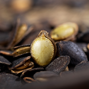 Nuevas Semillas de Calabaza Enlatadas Black King Kong 250g, Crudas, Procesadas, Secas, Sabor Original, Crema, Pimienta, <span class=keywords><strong>Sal</strong></span>, Para Cocinar y Disfrutar - Product Image 6