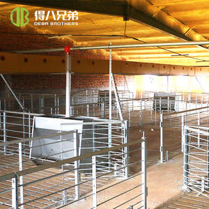 Nouvel équipement d'alimentation pour porcs en acier inoxydable DEBA Brothers, mangeoire multi-fentes humide-sèche, garantie 1 an pour les porcs d'engraissement en nurserie - Product Image 1