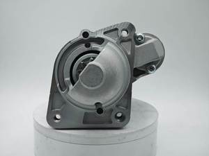 Leva Di Avviamento A Pedale Per Moto - Diametro Albero 15 Mm - Colore Argento - Sostituzione Kick Starter