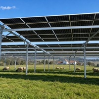 Système de montage solaire agrivoltaïque sur terrain herbeux, structure de support photovoltaïque au sol pour fermes commerciales