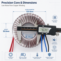 Transformateur toroïdal 200W 230V vers double 24V 50/60Hz à noyau en cuivre pur pour amplificateur audio et alimentation électrique