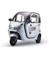 Fabbricazione mini auto 3 ruote elettrico risciò moto moto sportive per adulti
