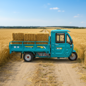 ऑनलाइन थोक वाफ्फेंग wf1500dzh इलेक्ट्रिक कार्गो ट्राइसाइकिल 60v> 1000w एकीकृत छत बंद शरीर उच्च पेलोड 70-90 किमी रेंज - Product Image 1