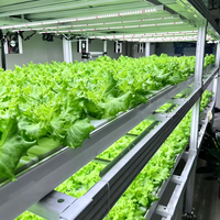 Conteneur de culture de légumes à feuilles en acier modulaire de grande taille, système de culture hydroponique intelligent DWC multi-espaces