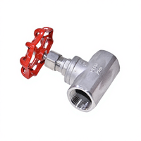 Válvula de Aguja Manual de Acero Inoxidable 304 al por Mayor, DN15 a DN50, para Control de Flujo Fino, ODM OEM Personalizada, 1 Año de Garantía