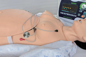 Simulateur d'entraînement en obstétrique et sage-femme : Forceps, extraction par ventouse, pratique de l'épisiotomie, mannequin pour l'éducation médicale et les soins de naissance - Product Image 3