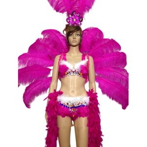 Hola Colorful <strong>Samba</strong> Costume/Women Brazil Costume/Carnival Costume - Product Image 1