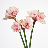 Bunga Amaryllis PU Mewah 2 Kepala, Sentuhan Asli, Hippeastrum Lateks Buatan Berkualitas Tinggi dengan Dua Kepala untuk Dekorasi Pesta Pernikahan