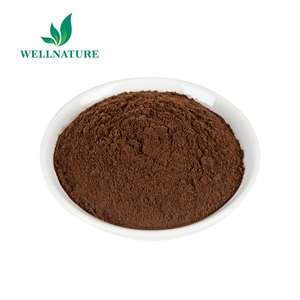 Extrait de champignon de haute qualité, champions, phelinus linteus, 1 pièce - Product Image 1