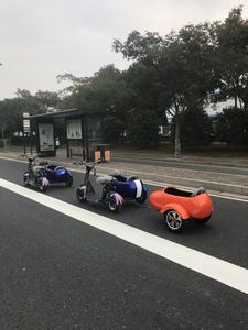 Triciclo Eléctrico de Tres Ruedas con Sidecar, Personalizable con Logotipo, Nuevo, 2 Asientos, Apto para Adultos, Venta al Por Mayor - Product Image 2