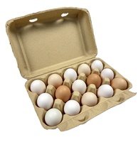 Barquettes à œufs biodégradables en pulpe de 15 alvéoles, carton à œufs antichoc, emballage recyclable pour le transport et le stockage
