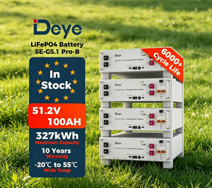 Batterie de stockage d'énergie solaire Deye SE-G5.1 Pro-B LiFePO4 51.2v 100A, durée de vie de 6000 cycles, pour utilisation domestique - Product Image 1