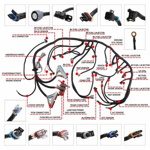 מותאם אישית רתמה חיווט באיכות גבוהה גנרטור חיווט לרתום מותאם אישית שונים לרכב - Product Image 4
