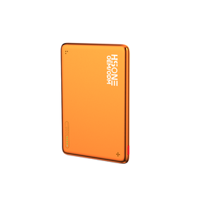 LDB26 Power Bank Wireless 15W con Ricarica PD 20W, 5000/10000mAh, Indicatore LED, Corpo Sottile in Metallo, Incisione Laser OEM - Product Image 5