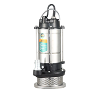Pompe submersible QDX en acier inoxydable à prix avantageux, 1,1 kW, 220 V, pompe à eau électrique pour usage domestique