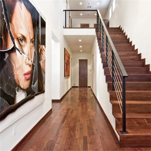 Kits de garde-corps d'escalier modernes DAIYA avec main courante de <span class=keywords><strong>balustrade</strong></span> en fil noir - Product Image 2