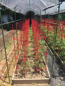 Varillas de fibra de vidrio anti-UV y Antienvejecimiento GRP FRP y estacas para plantas para verduras - Product Image 6