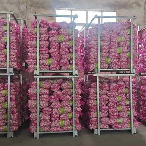 China Proveedor profesional de ajo blanco fresco Ail Ajo Alho Precio al por mayor competitivo 5/6/7/8/9/10kg en bolsa de malla - Product Image 1