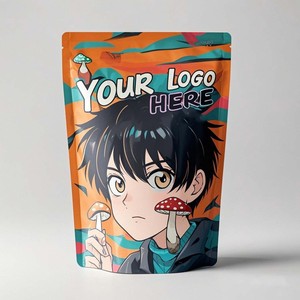 Custom Logo Printed Zip Lock 3-Side Seal Stand-Up Pouch Plastic Underwear Packaging <strong>Bag</strong> for Food and Pet Use - Product Image 4