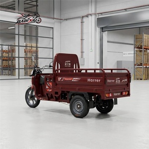 Triciclo Eléctrico <span class=keywords><strong>de</strong></span> 800W 60V40AH, Motocicleta <span class=keywords><strong>de</strong></span> <span class=keywords><strong>Carga</strong></span> <span class=keywords><strong>de</strong></span> 3 Ruedas para Adultos, Alta Capacidad <span class=keywords><strong>de</strong></span> <span class=keywords><strong>Carga</strong></span>, Largo Alcance, Neumáticos <span class=keywords><strong>de</strong></span> Alta Adherencia, E-Trike - Product Image 2