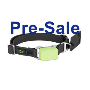 최신 기술 모던 충전식 퀵 릴리즈 반려동물 전자기기 혈중 산소 및 혈압 수면 모니터링 강아지 목걸이 - Product Image 1