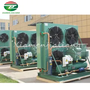 Chinese Suppliers Cold Cold Condensing Room Unit R134A Condensing Unit Condensing Unit Cold Room