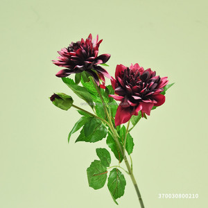 Flores de Seda Grandes y Populares, Crisantemo Blanco, Dalia Mexicana, Zinnia, <span class=keywords><strong>Margarita</strong></span> de 100 cm para Decoración de Funerales, Bodas, Hoteles, Tiendas y Hogares - Product Image 6