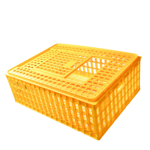 Jaula de transporte de plástico de alta calidad para <span class=keywords><strong>pollo</strong></span> vivo Mejor precio Jaula de transporte de plástico para <span class=keywords><strong>pollo</strong></span> Jaula de transporte para la venta - Product Image 1