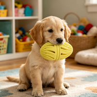 Ballon de rugby pour animaux de compagnie en TPR creux durable, sûr et non toxique, jouet à mâcher pour chien, jouet interactif pour chiot pour le jeu en extérieur