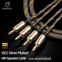 ERUMPENT OCC Câble d'amplificateur Hifi à noyau plaqué argent Connecteur banane plaqué or en cuivre pur PVC pour lecteur DVD Câble audio pour