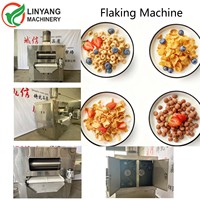 Ligne de production automatique de flocons de maïs extrudés à double vis numérique, céréales instantanées pour bébés, collations, fabrication de céréales pour le petit-déjeuner