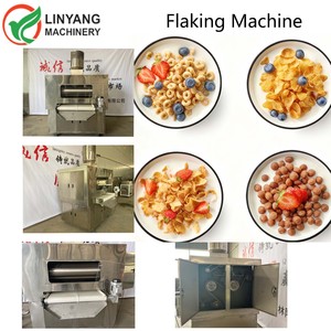 Línea de Producción Automática de Cereales Instantáneos <span class=keywords><strong>para</strong></span> Bebés, Cereales de Maíz Extruido de Doble Tornillo Digital, Fabricación de Cereales <span class=keywords><strong>para</strong></span> el Desayuno - Product Image 2