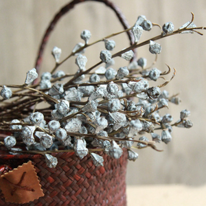 CAELL <span class=keywords><strong>Etsy</strong></span> Vente Flash Fruits d'eucalyptus pour vases Fleur séchée longue durée pour la décoration de la maison 100% Feuilles d'eucalyptus naturelles - Product Image 2