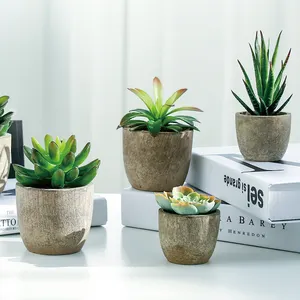 wholesale Artificial succulent plants plastic material succulent for pot plant