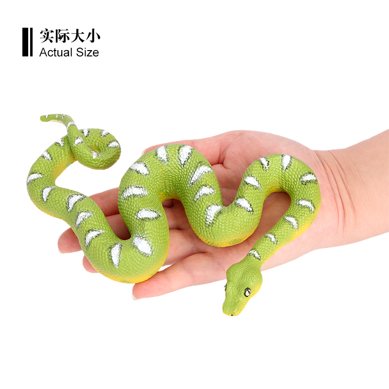 3284 Anaconda Verde