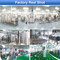 Hnoc Volautomatische Tin Tomatenpuree Fabricage Machine Tomatenpuree Maken Machine Ketchup Maker Procesfabriek
