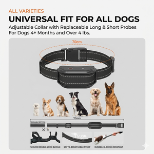 <span class=keywords><strong>Collar</strong></span> de Adiestramiento para Perros con Vibración, Sonido y Descarga Eléctrica, Personalizable, con Control Remoto, Impermeable, Recargable, con Luz LED - Product Image 5