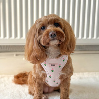 Harnais pour chien en velours côtelé brodé, personnalisé OEM, à carreaux Ghinfam, anti-traction, haute qualité, CE/ROHS/REACH, à libération rapide, rembourré, tendance