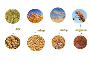 Décortiqueuse de riz à moteur diesel, machine à décortiquer et à égrener le riz - Product Image 4