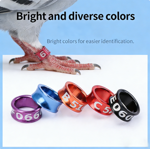 Wholesale Customized Pigeon <strong>Rings</strong> with Bright Colors <strong>for</strong> Easy Identification Racing Pigeon <strong>Rings</strong> Tracking Pigeon <strong>Leg</strong> <strong>Rings</strong> - Product Image 2