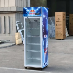 Réfrigérateur-congélateur commercial à <span class=keywords><strong>porte</strong></span> vitrée verticale, 1/<span class=keywords><strong>2</strong></span>/3 portes, vitrine réfrigérée pour boissons - Product Image 6