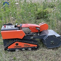 Robot tondeuse RC à moteur diesel 15,5 CV pour applications agricoles intensives