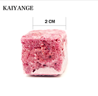 KAIYANGE 3g Enkelvoudige Donkerroze Lychee Fruitextract Vriesgedroogde Kubus Direct Oplosbare Energie Ondersteunende Thee Blok Kantoor Reizen