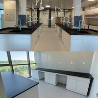 Mobilier de laboratoire professionnel en acier pour les écoles et les hôpitaux, surfaces résistantes aux produits chimiques, conception modulaire pour des aménagements flexibles